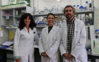 De izquierda a derecha, las investigadoras María  Jesús Torres, Alexandra Dubini y el investigador David González, autores del trabajo