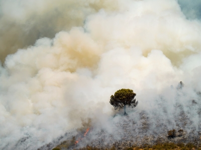 A moment during the controlled burning. Fotography of Elisa Vega Martínez