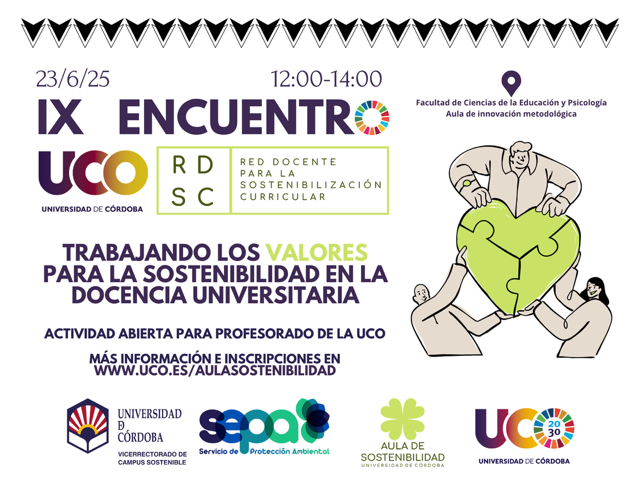 Cartel IX Encuentro RDSC