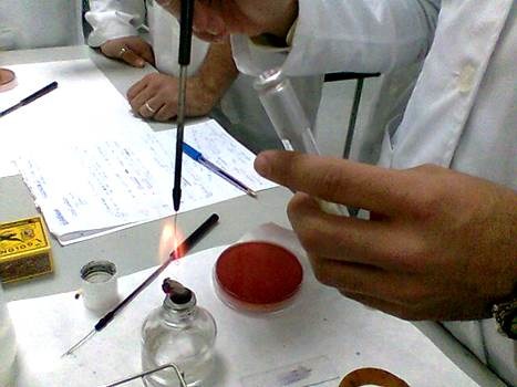 PRÁCTICAS MICROBIOLOGIA E INMUNOLOGIA.jpg