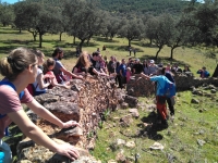 Ms de 50 personas de la comunidad universitaria participan en la actividad de voluntariado ambiental con Andaluca Ecocampus en la finca Las Erillas