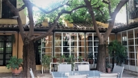 La diversificacin del olivar andaluz se sienta a la mesa de un patio cordobs