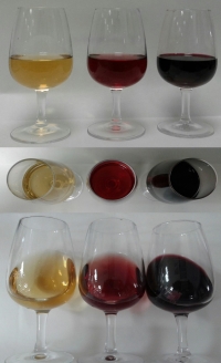 Vinos elaborados con equipamiento del  Grado de Enología