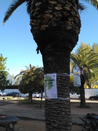 Voluntarios universitarios inician una campaña sobre los residuos de Rabanales